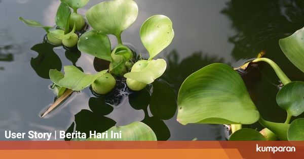 Materi Belajar Di Tvri Kelas 123 Jumat 5 Juni 2020 Hari